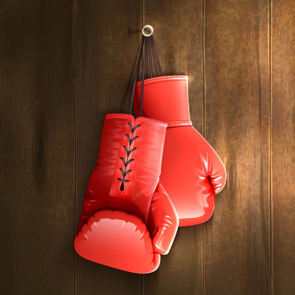 Boxing Gear Category Display Image