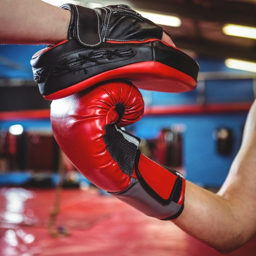 Boxing Focus Pad Product Image on Boxing Gear Category Page
